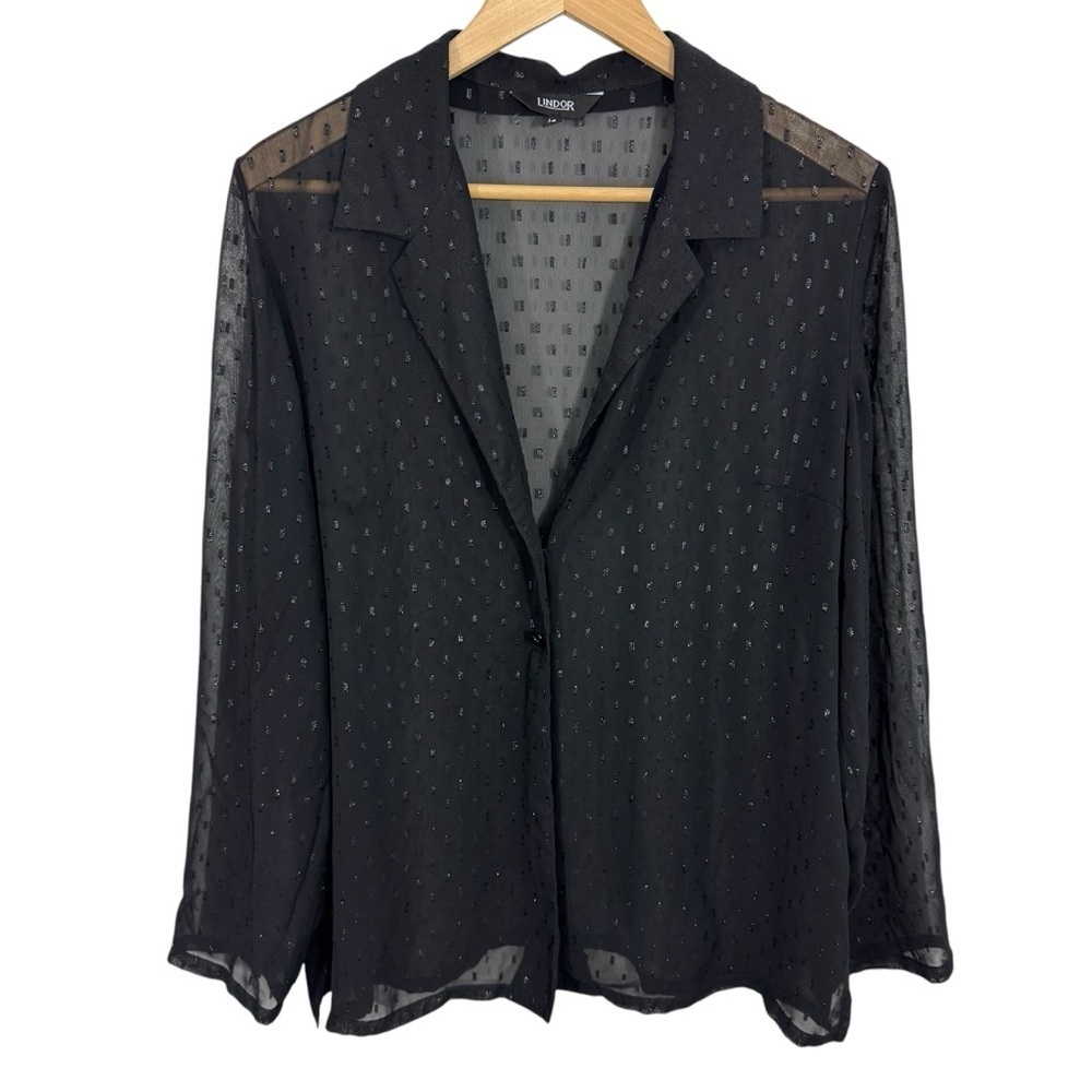 Lindor Sheer Shimmer Top Sz 14 Black Button Front Cocktail Blouse Shirt Sexy EUC